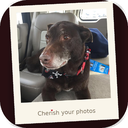 Cherish app icon
