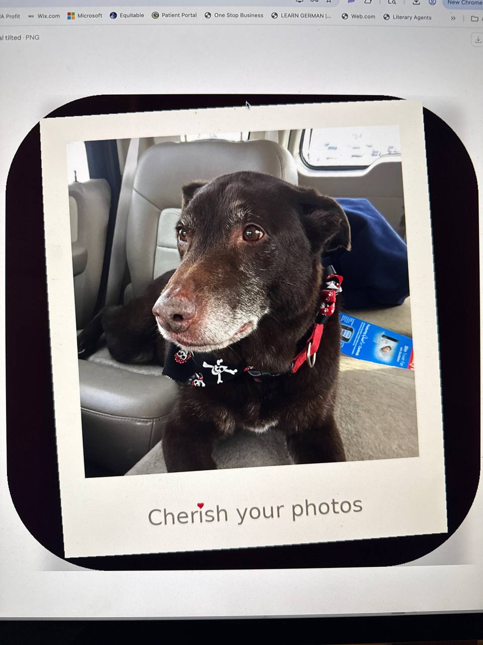 Cocoa — Cherish Your Photos